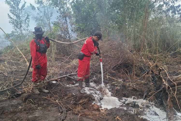 Penanganan Karhutla di Banjarbaru Kalsel Ditarget Tuntas 2 Pekan, 300 Pompa Air Dikerahkan