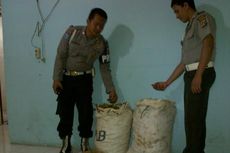 Ditemukan, Dua Karung Kunyit Berisi 20 Kg Ganja 