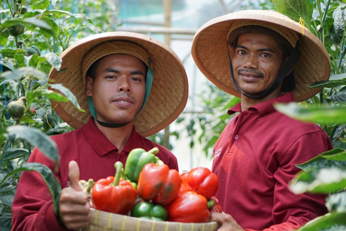 Intervensi dari sektor swasta melalui kemitraan menjadi angin segar bagi para petani dalam mengatasi berbagai kendala yang dialami mereka.  
