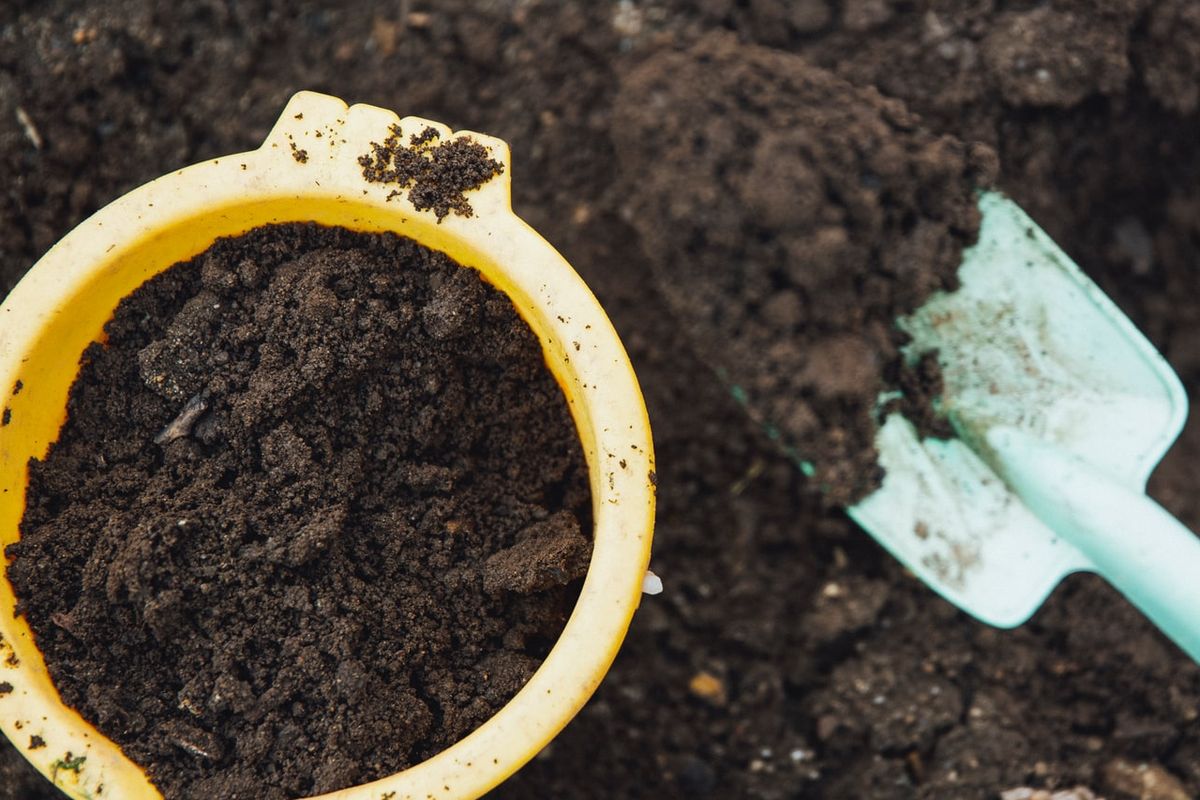 Ilustrasi pupuk organik