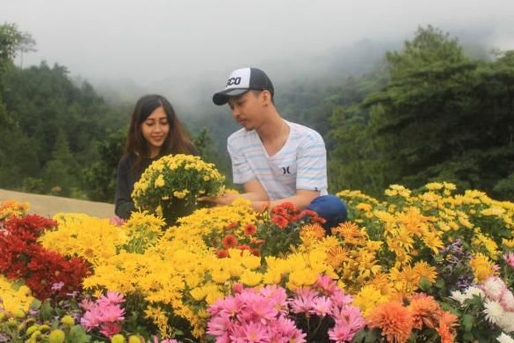 Sepasang wisatawan saat berfoto pada spot flower hill di Batu Flower Garden, , salah satu tempat wisata Batu dan Malang untuk libur Nataru.