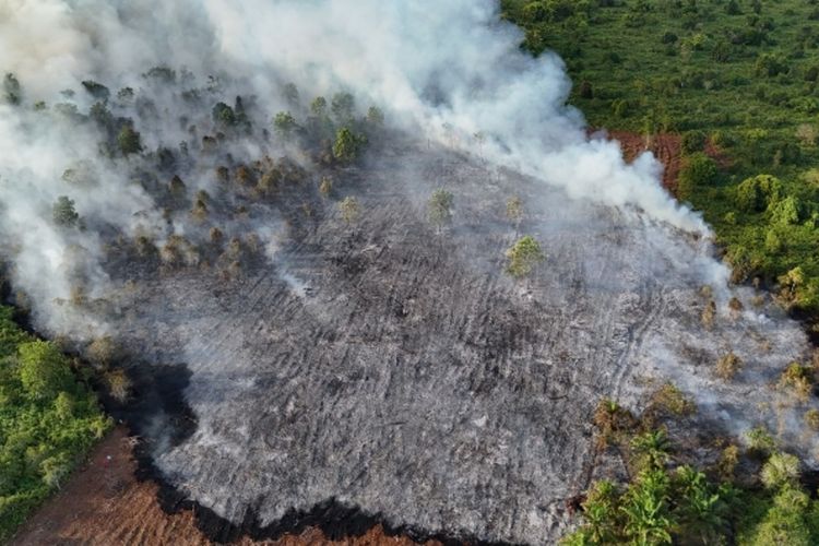 Kebakaran lahan milik pemerintah di Kampung Mengkapan, Kecamatan Sungai Apit, Kabupaten Siak, Riau, Selasa (8/7/2025).