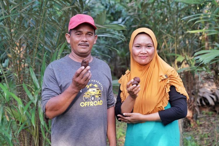 Suparno dan istri, pemilik perkebunan salak Sari Intan Bintan di Kepulauan Riau.