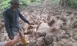 Lahan HGU Terbakar Lebih dari 50 Persen, Seluruh Hak Bisa Dibatalkan