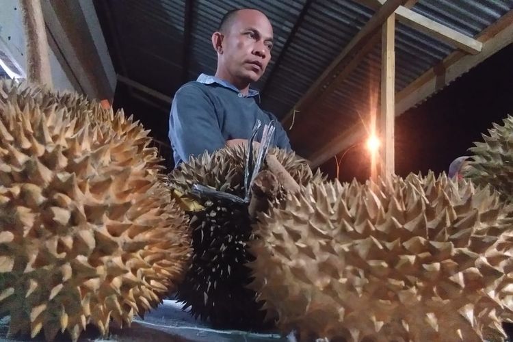 Durian Musang King di Desa Kandang, Kecamatan Muara Dua, Kota Lhokseumawe, Senin (14/10/2019) malam