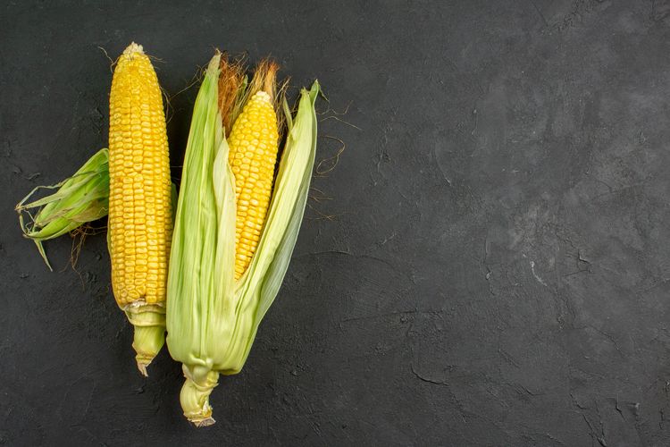 Ilustrasi jagung manis. 