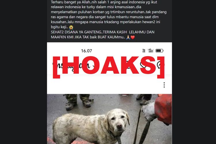 Hoaks, foto anjing putih asal Indonesia menyelamatkan korban gempa Turkiye