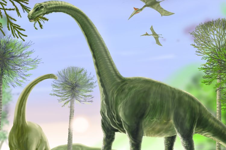 Ilustrasi titanosaurus, dinosaurus terbesar yang pernah hidup. Kelompok sauropoda, dinosaurus pemakan tumbuhan.