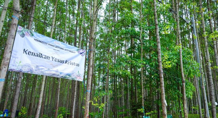 Berlibur ke IKN Bisa Tanam Pohon Endemik