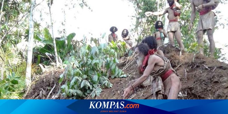 Cerita Suku Togutil Halmahera, Bertahan Hidup di Pedalaman Hutan