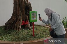 Wisata ke Taman Botani Baturraden di Banyumas, Kenali Banyak Tanaman