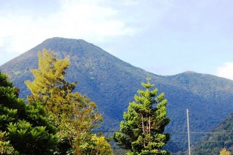 Mulai Selasa (10/5/2022), pendakian Gunung Gede Pangrango Jawa Barat kembali dibuka.