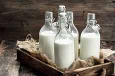 Menyiram Tanaman dengan Susu: Pro, Kontra, dan Caranya