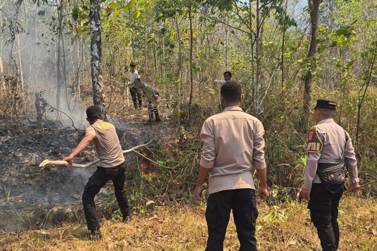 Karhutla di Gunung Botak Trans Papua Barat, Polisi Pastikan Api Tak Kembali Meluas