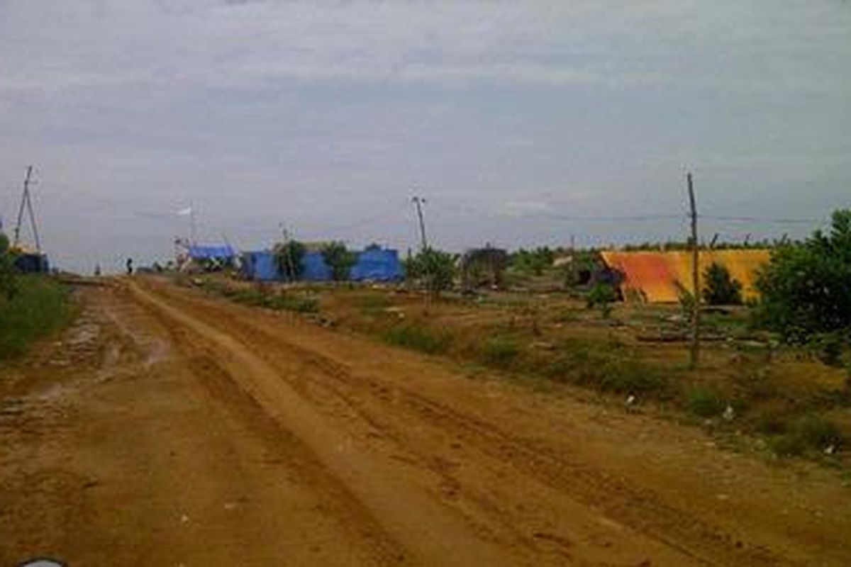 Dengan mendirikan tenda-tenda, sejumlah warga pendatang bertahan di kawasan Register 45 Mesuji, Lampung, Sabtu (3/3/2012). 