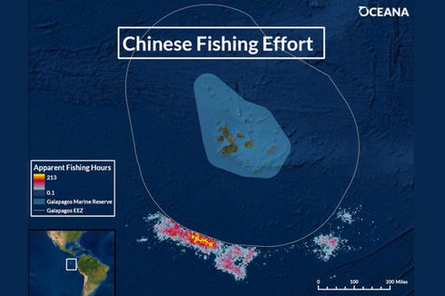 300 Armada Kapal China Ditemukan Jarah Ikan di Perairan Galapagos yang Mengancam Spesies Laut Langka