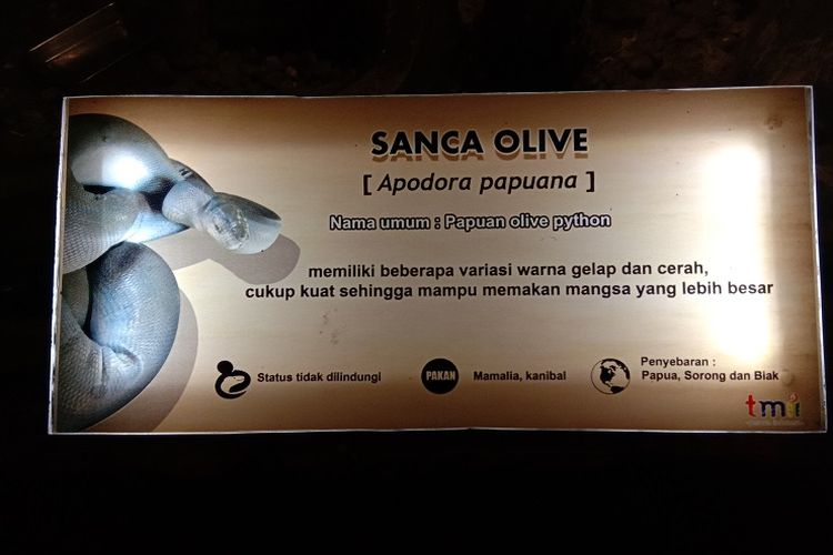 Salah satu obyek wisata di Museum Komodo dan Taman Reptil bernama Goa Reptil memiliki beberapa jenis ular dengan ukuran tubuh yang lebih besar dan lebih panjang dibandingkan dengan ular yang berada di kandang area luar ruangan, Taman Mini Indonesia Indah, Jakarta, Sabtu (4/1/2020).