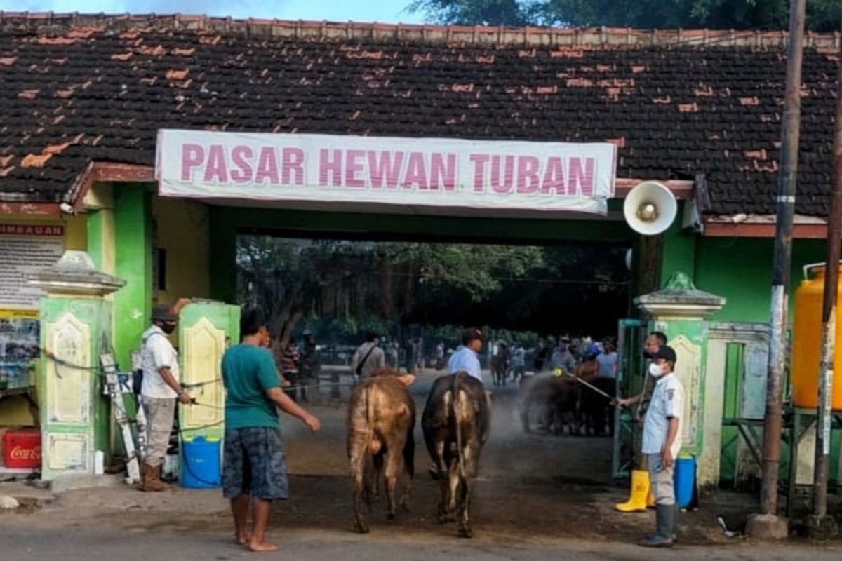 Kondisi pasar hewan Tuban sebelum merebaknya virus PMK melanda hewan ternak di Kabupaten Tuban, Jawa Timur.