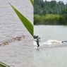 Warga di Lampung Kejar Buaya yang Seret Kakek ke Tengah Sungai