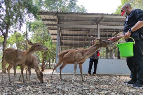 Mengenal Taman Kehati Indramayu, Replika Ekosistem Lahan Basah Rawa Payau di Pesisir Pantai Utara Jawa