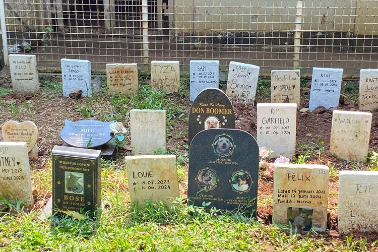 Psikolog: Duka Kehilangan Hewan Peliharaan Bisa Setara dengan Kehilangan Anggota Keluarga