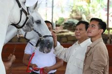 Gelombang Dukungan Prabowo-Gibran, dari Relawan hingga Parpol