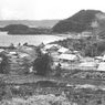Profil dan Sejarah Kabupaten Jayapura Papua