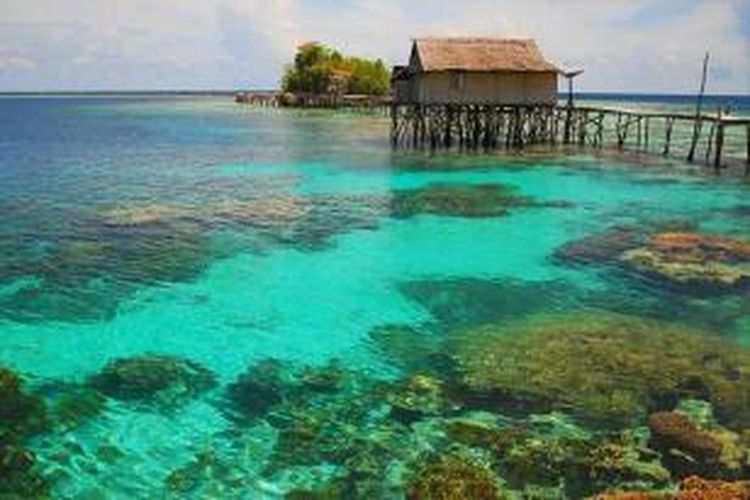 Taman Laut Kepulauan Togean.