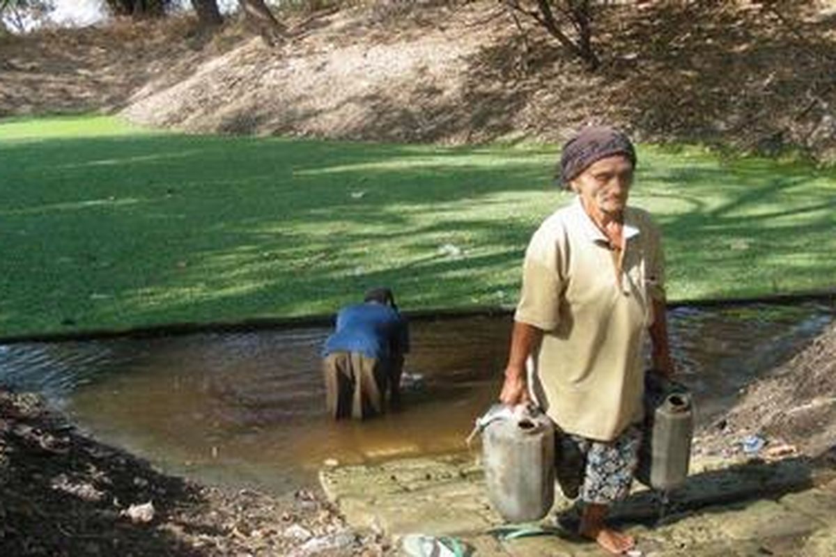 Warga Munggugianti, Kecamatan Benjeng Kabupaten Gresik, Jawa Timur, Jumat (16/9/2011), mengambil air dari kubangan penampung air hujan yang sudah menipis dan berwarna hijau kecoklatan. 