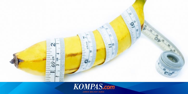 780px x 390px - Ukuran Penis, Kenali 4 Faktor yang Memengaruhinyaâ€¦ Halaman all - Kompas.com