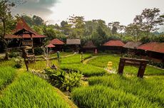 5 Tempat Makan Keluarga di Sentul yang Murah, mulai Rp 10.000