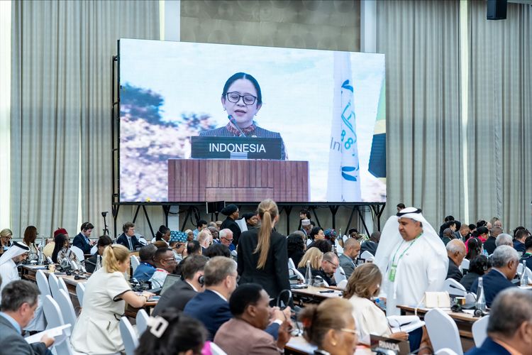 Hadiri Sidang IPU di Tanzania, Puan Maharani Bawa Pesan Keadilan Sosial dan Ikut Pilih Presiden IPU