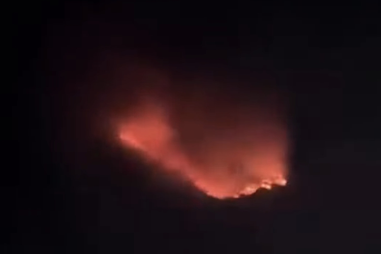 Hutan di Kawasan Gunung Bromo Terbakar, Akses Wisata dari Malang dan Lumajang Tutup