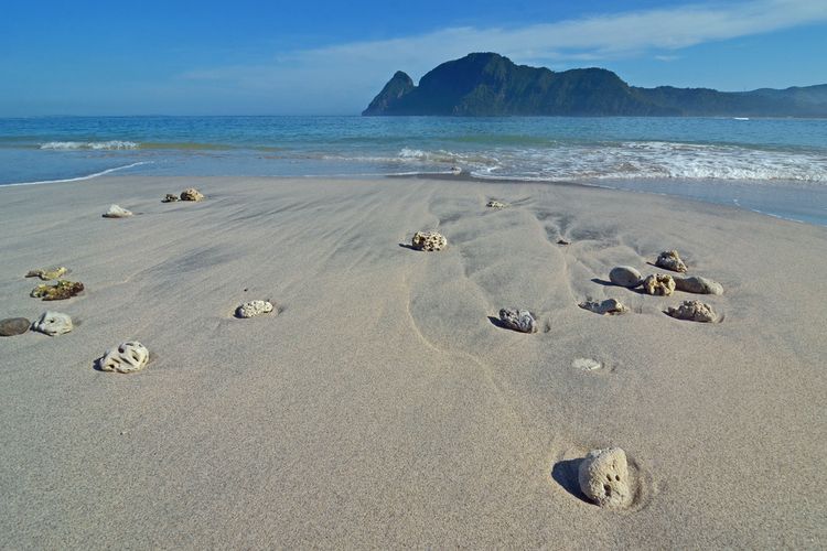 Yoyo Sekongkang, Surga Tersembunyi untuk Surfing di Sumbawa