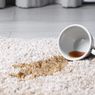6 Tips Mengeringkan Karpet Basah Tanpa Dijemur