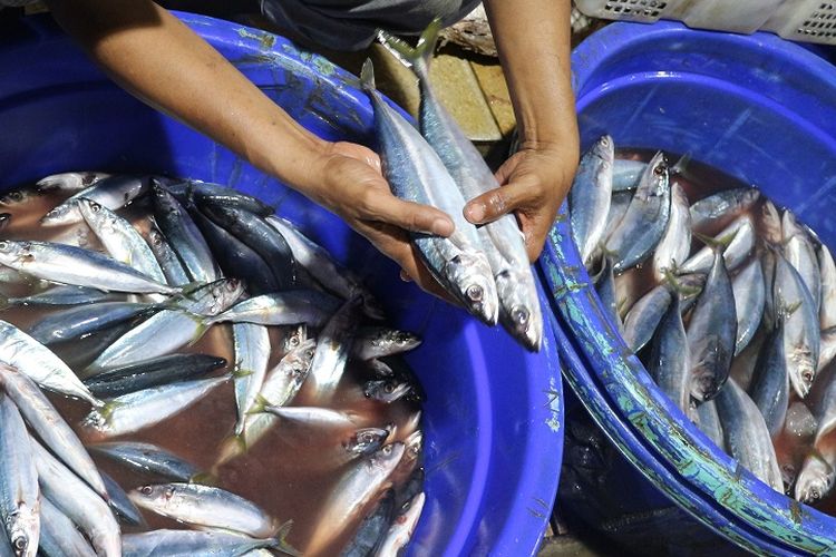 Memilih ikan yang layak dikonsumsi dapat dilihat dari mata ikan yang bening. Jika bening maka ikan itu layak dikonsumsi. 