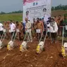 Banten Canangkan Tanam Jagung Ratusan Hektare, Bidik Swasembada Pangan