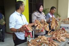 Polisi Surabaya Amankan 1.000 Ketapel yang Akan Dikirimkan ke Makassar