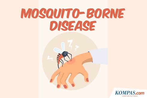 INFOGRAFIK: Mosquito-borne Disease