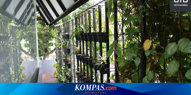 7 Trik Ciptakan Taman Tanpa Lahan Halaman All Kompas Com
