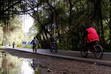Menyusuri Rimbo Panti, Ruang Teduh di Jalur Lintas Sumatera