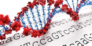 Ilustrasi pengurutan genom (genome sequencing) virus corona. Ilmuwan Australia mengembangkan teknologi pengurutan genom yang lebih cepat melacak Covid-19.