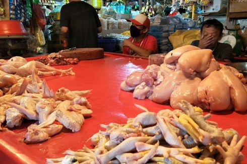 Libur Natal dan Tahun Baru, Stok Daging Ayam dan Sapi Aman