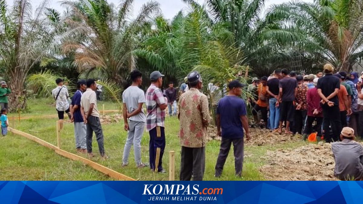 HGU Segera Berakhir, Penjarahan Sawit di Aceh Utara Kian Tak Terkendali, Kerugian PTPN IV Rp 62,6 M