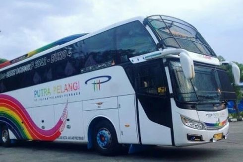 Berbagai Model Tameng Bus untuk Segala Kebutuhan