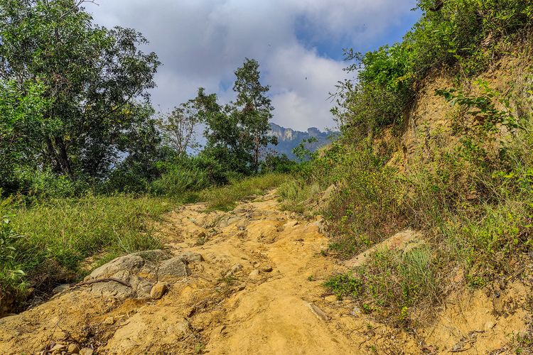 Jalan setapak dari tanah di jalan tembus Selogiri-Manyaran, Wonogiri