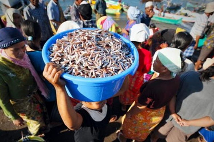 Lelang Ikan di Tanjung Luar