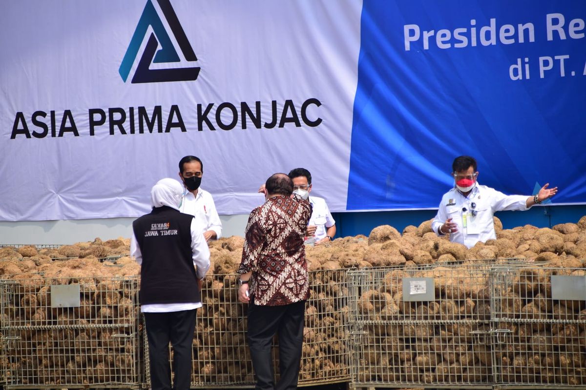 KUNJUNGI—Menteri Pertanian, Syahrul Yasin Limpo mendampingi Presiden Jokowi saat mengunjungi pabrik pengolahan porang di Pilangkenceng, Kabupaten Madiun, Jawa Timur, Kamis (19/8/2021).
