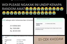 Diserang "Hacker", Link Pengumuman Jalur Mandiri Undip Sudah Normal