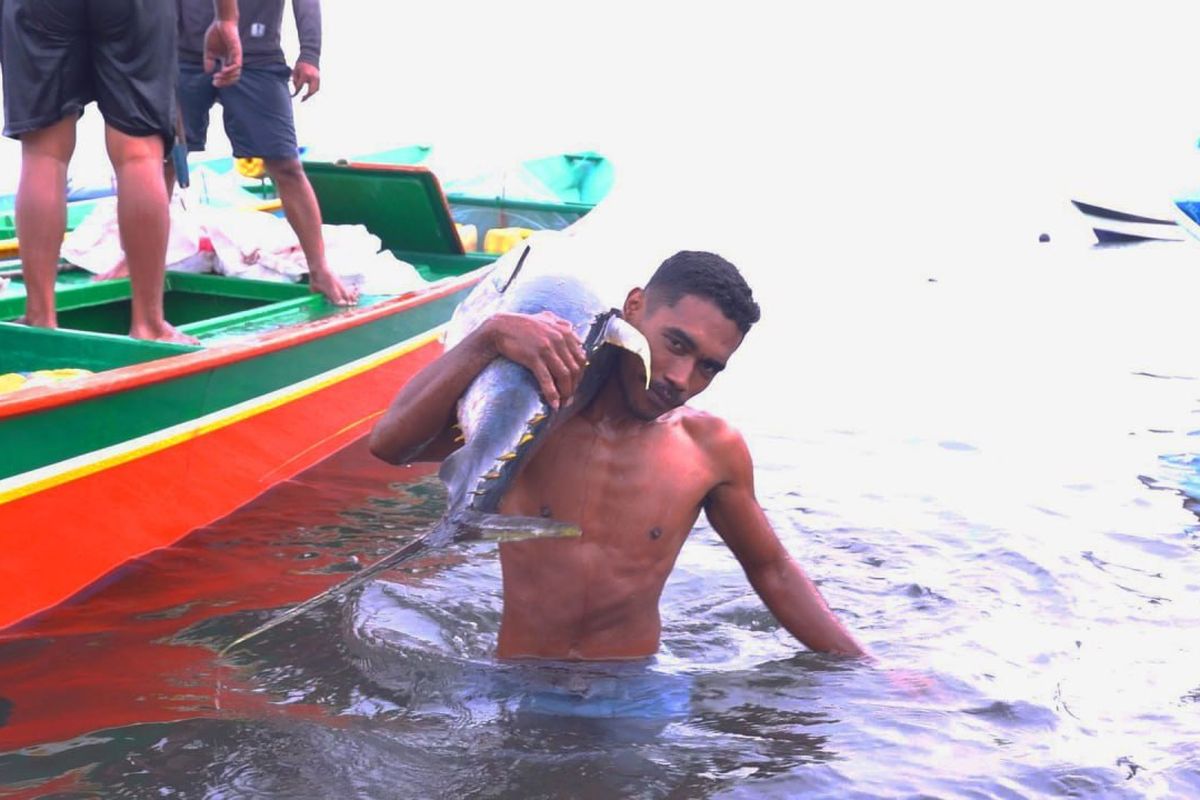 Nelayan ikan tuna di Kelurahan Jambula, Kota Ternate memikul hasil tangkapannya untuk dibawa ke pangkalan ikan. 